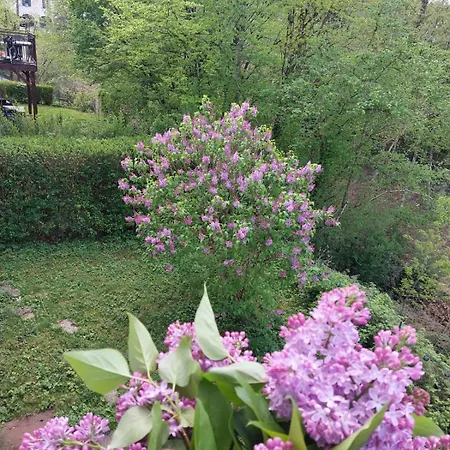 Sweet - Pour 6 Personnes Ardennes Fr Villa